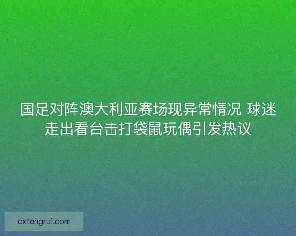 国足对阵澳大利亚赛场现异常情况 球迷走出看台击打袋鼠玩偶引发热议